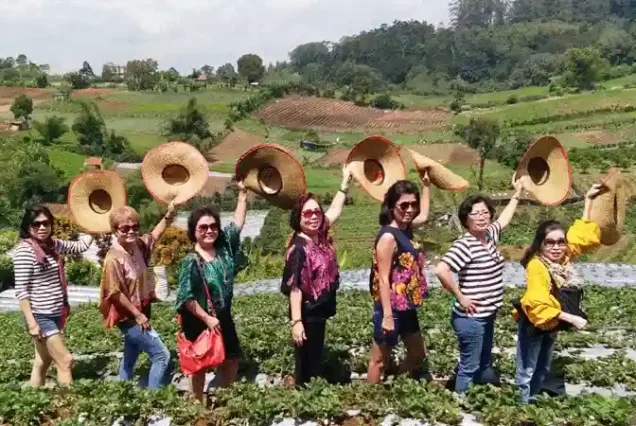 medan tour package